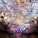 창원대로 이미지