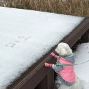 2287 | 🐶 마요와 함께한 제주 2박 3일 여행기 – 3일차｜대도식당+으뜨미식당+라스또르따스 그리고 만복반미...