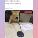 은혜세차장 | 2025년 3월(2)