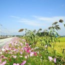 오덕3리(하월촌) 이미지