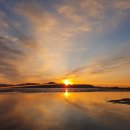 개이쁘개 이미지