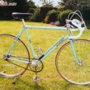 허브지노 이미지