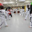 덕성 태권도장 이미지