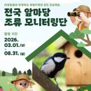 앞마당