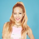 민트컴퍼니