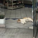 저기요