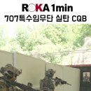 [200만뷰] 707특수임무단 실탄 CQB(ft.손들어! 🔫탕!탕!탕!)#special force 이미지