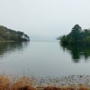 곱싸리