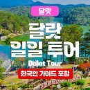 굿데이트래블 이미지