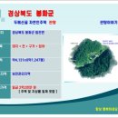 봉화공인중개사사무소 | 산골 나만의왕국 힐링쉼터 자연인주택" 경상북도 봉화군 법전면 자연 속에서 쉬고 몸과 마음을 다시...