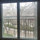 화목스위첸공인중개사사무소 이미지