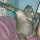 채선농장 이미지