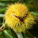 예항맥외과 이미지