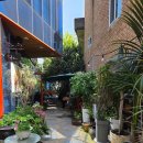 바다그린 | 무안 귀부인 핏자집갔다가 목포 MZ 카페갔다가 바다에서 그림그린 국내여행일상 후기...그리고 ex30