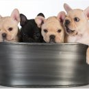 신천동물병원 이미지