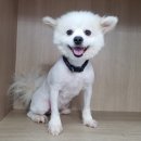 행정타운로 이미지