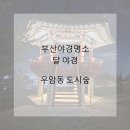 우암동 도시숲 | 부산야경명소 우암동도시숲 공원