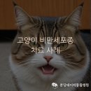 데이지동물병원 이미지