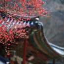 역사와 하루2 이미지