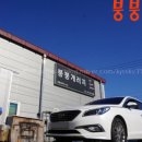 붕붕개러지 이미지