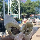 김약국 | 블친들에게 보내는 답장