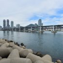 수영강변로 이미지