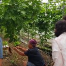 유천국사골마을 이미지