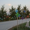 코스메오 이미지