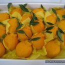 이슬농장2 이미지