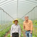 이경민농장 이미지