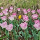 2023.04.21 ~ 04.23 머니로그, 초보블로거로 살아남기