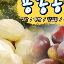 용봉농장 네이버블로그