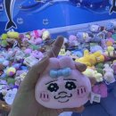 양파인형뽑기 이미지