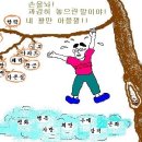 과욕은 자기분수를 모르는 맹목적인 욕심이다. 이미지