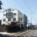 위미 모루왓 이미지