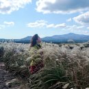 향유목장2 이미지