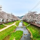 영신숲길3 이미지