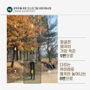 브랜딩레시피 Daum카페
