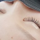 활짝핀 속눈썹 이미지