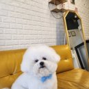 김고은그루밍# 이미지