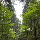 아리숲펜션
