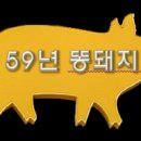 59년똥돼지