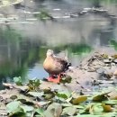 UR(천안시)-[성진로]-하-11 | 2025년 연말결산