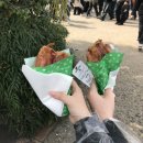 상동읍 가삼공원(상동읍-19) | 3/19 - 3/23 오사카 여행 (2)