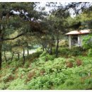 섬지뜰농장 Daum카페
