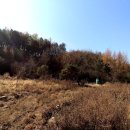 전호목장 이미지