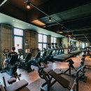 휘트니스 휴 용암점 이미지