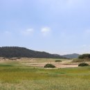 모래언덕 이미지