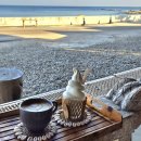 신기해변 | 강원도 고성 오션뷰 카페 노메드 | 청간해변 앞 발리감성 카페 내돈내산 후기