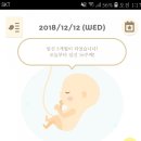 [16주] 별이 하는 일
